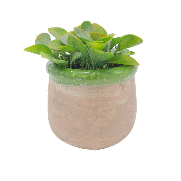 Rustic Pot with Green Trim
