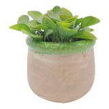 Rustic Pot with Green Trim